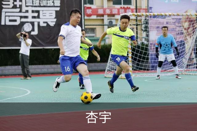杏宇公司简介