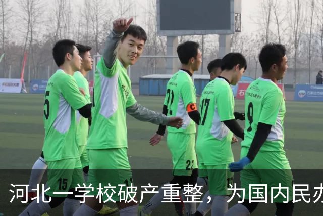 河北一学校破产重整，为国内民办高职规模最大的破产重整案之一